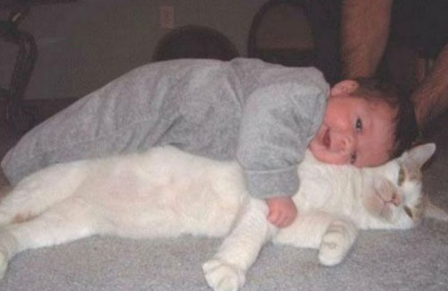 喵星人快顶不住了儿童gif搞笑图片