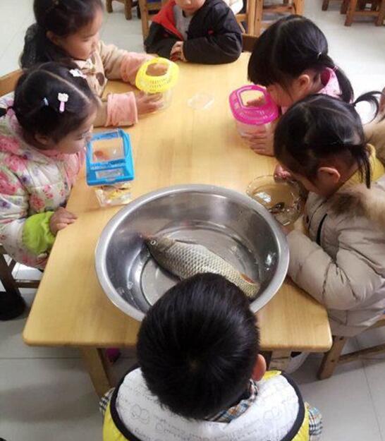 妈妈，老师说明天带一条鱼去观察儿童gif搞笑图片
