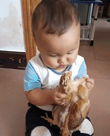 宝宝好久没吃肉了，看看馋成啥样了儿童gif搞笑图片