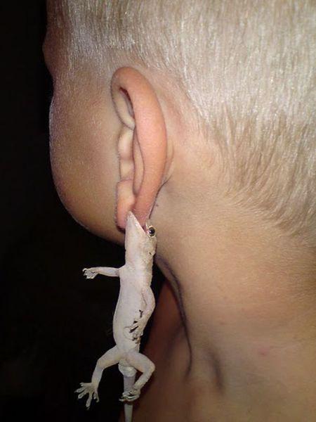 这是什么耳坠啊？儿童gif搞笑图片