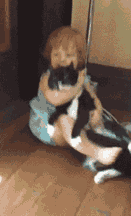 喵星人终于回想起了被熊孩子支配的恐惧儿童gif搞笑图片