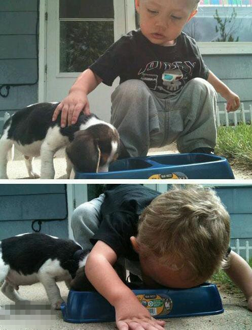 与狗狗一起成长的小朋友儿童gif搞笑图片