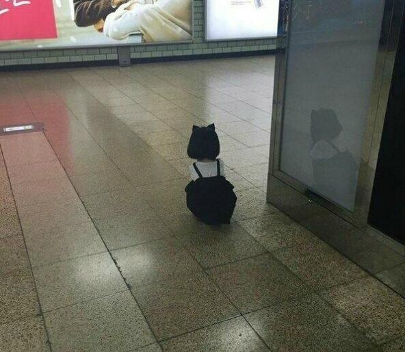 寻猫启事的那个终于找到了儿童gif搞笑图片