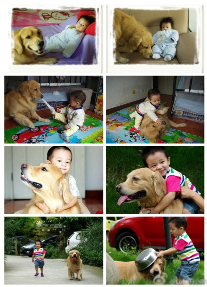 狗狗是宝宝的好朋友（组图）儿童gif搞笑图片