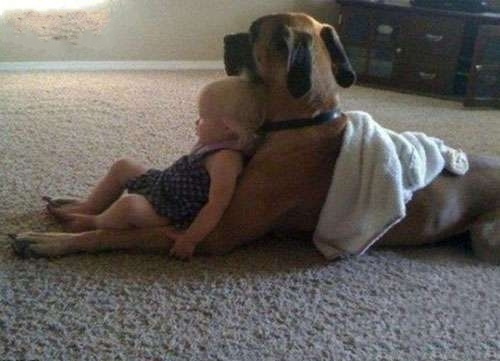 狗狗沙发，真舒服儿童gif搞笑图片