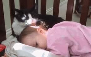 别闹，我好困儿童gif搞笑图片