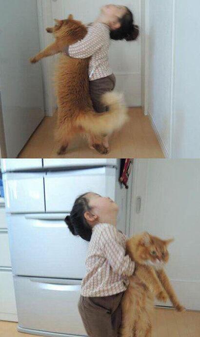 汪星人和喵星人的克星儿童gif搞笑图片