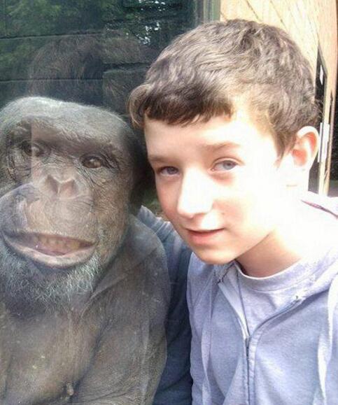 一对亲兄弟儿童gif搞笑图片