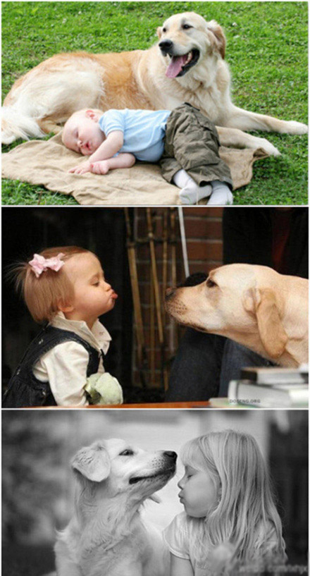 宝宝和狗狗儿童gif搞笑图片