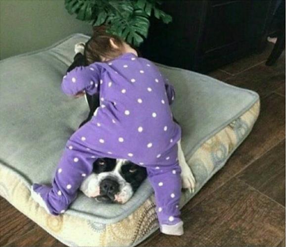 阿汪：这日子没法儿过了儿童gif搞笑图片