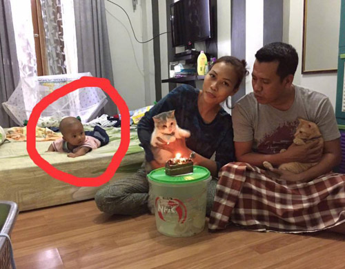 当猫咪过生日的时候儿童gif搞笑图片