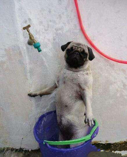 如此凉爽儿童gif搞笑图片