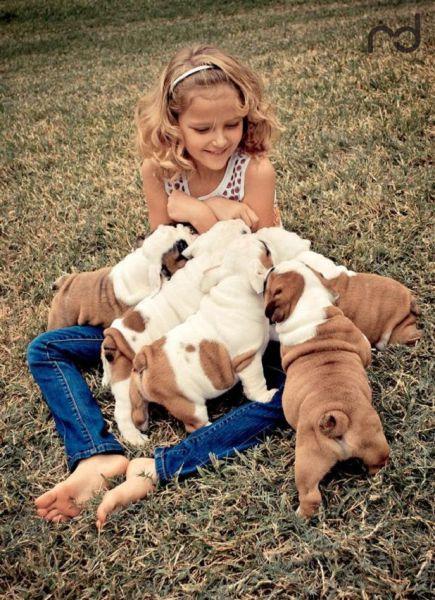 家有小狗一窝儿童gif搞笑图片