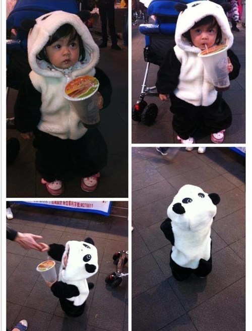 小熊猫，人见人爱儿童gif搞笑图片