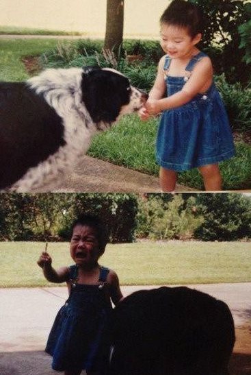 妈妈，它偷吃！儿童gif搞笑图片