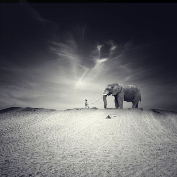 孩子和大象的故事儿童gif搞笑图片