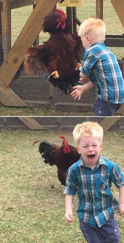 哼！人类幼崽不过如此嘛儿童gif搞笑图片