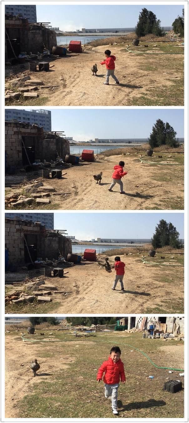 你的王者农药队友儿童gif搞笑图片