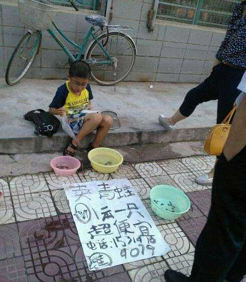 卖青蛙的小商人儿童gif搞笑图片