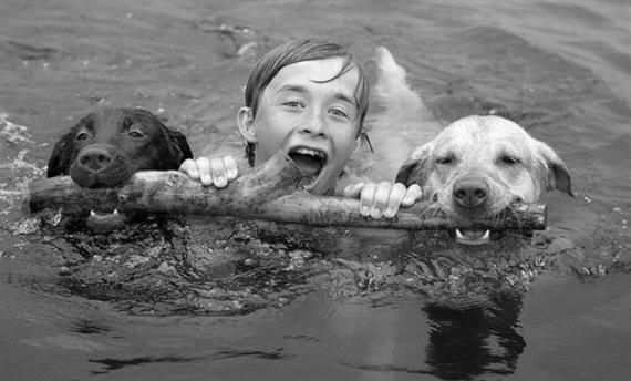 狗狗教你学游泳儿童gif搞笑图片