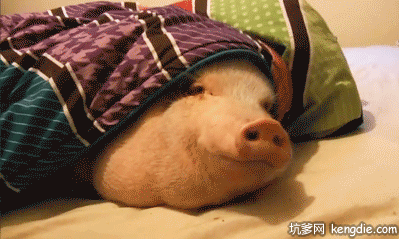 我看到团子了，哈哈！！儿童gif搞笑图片