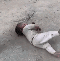 满地打滚的小孩儿童gif搞笑图片