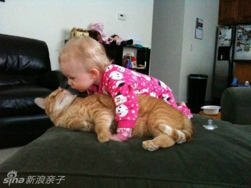 小猫咪来让大爷亲一个儿童gif搞笑图片