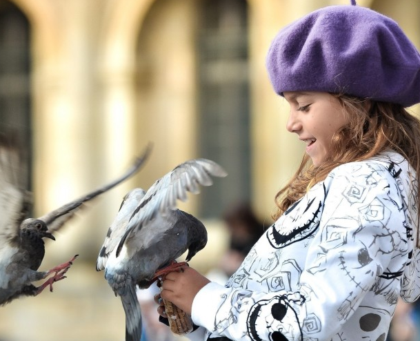 小女孩跟鸽子鸟玩耍高清图片儿童gif搞笑图片