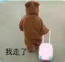 抖音小孩拉行李箱可爱搞笑表情包儿童gif搞笑图片
