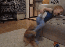 猫动物撕咬小孩裤子搞笑动态图儿童gif搞笑图片