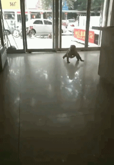 熊孩子学蜘蛛爬行gif图儿童gif搞笑图片