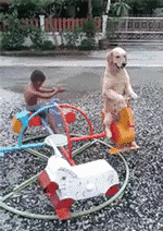 熊孩子跟狗玩耍的动图儿童gif搞笑图片