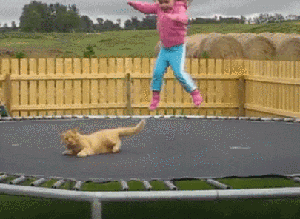 猫和小女孩玩蹦床的动图儿童gif搞笑图片