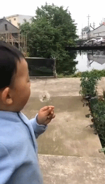 小孩子吹蒲公英的动图儿童gif搞笑图片