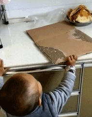 小孩子高智商的图片儿童gif搞笑图片