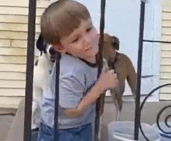 小孩子钻围栏杆的动图儿童gif搞笑图片