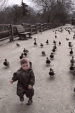 小孩子跟动物玩耍的动图儿童gif搞笑图片