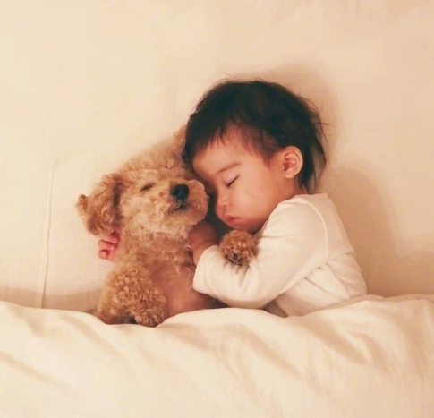 小孩子和狗狗睡觉的图片儿童gif搞笑图片