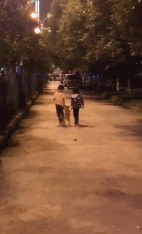 熊孩子牵狗站立走路的动图儿童gif搞笑图片