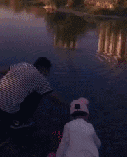 熊孩子坑爹恶作剧的搞笑动态图儿童gif搞笑图片