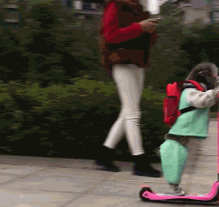 熊孩子撞墙的搞笑动图儿童gif搞笑图片