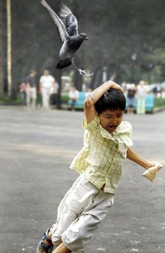 小朋友你是怎么得罪它的儿童gif搞笑图片