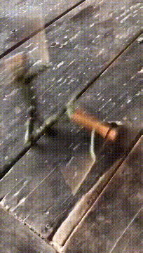 这是在家闲的没事做儿童gif搞笑图片