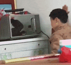 帅哥你的发行够帅了，别在往头上用口水了儿童gif搞笑图片