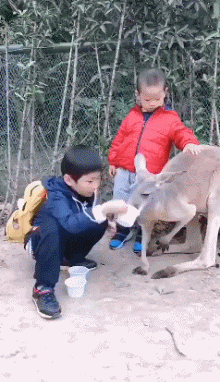 我就挠个痒痒，你别怕儿童gif搞笑图片