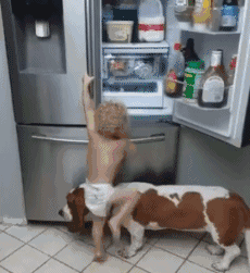 这只狗子还真是好伙伴儿童gif搞笑图片