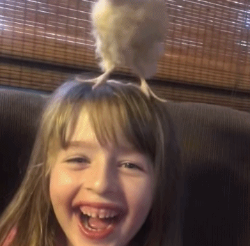 看把孩子开心的儿童gif搞笑图片