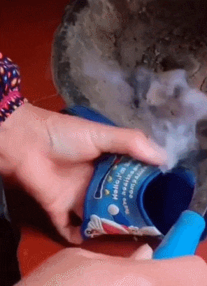 小时候家里穷修修补补还能穿儿童gif搞笑图片