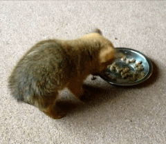 總以為退一步海闊天空，沒想到腳下落空。gif动态gif搞笑图片