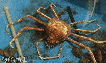 多照照镜子，很多事情你就明白原因了。gif动态gif搞笑图片